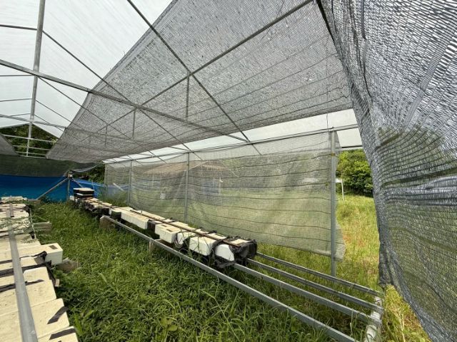 โรงเรือนปลูกผัก